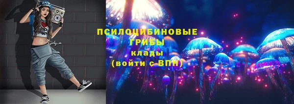 jwh Бородино