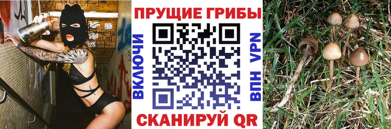 Купить  Беломорск  Галлюциногенные грибы мухоморы 