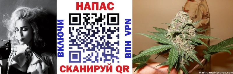 Шишки марихуана SATIVA & INDICA Беломорск